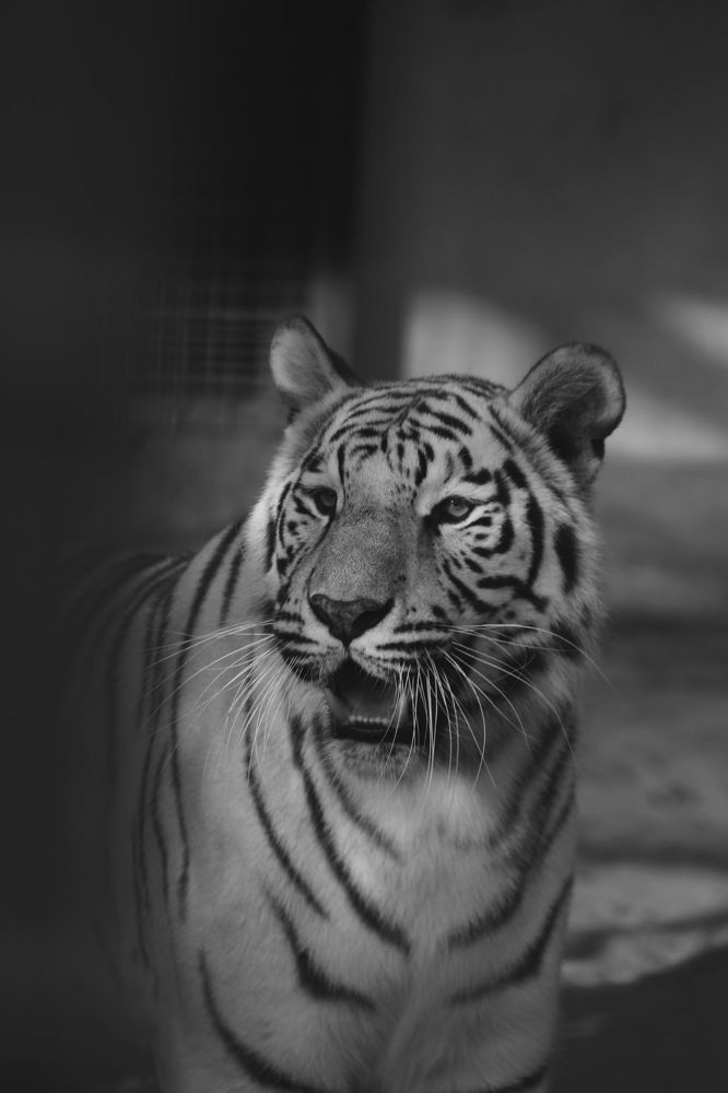 Photograph by Annlin Nelson