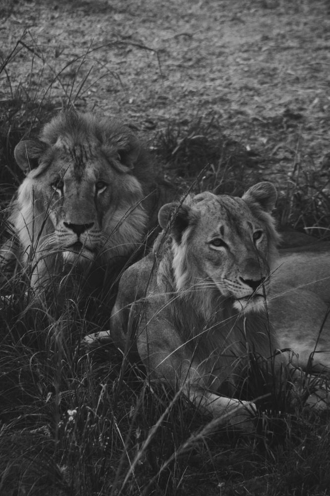 Photograph by Annlin Nelson