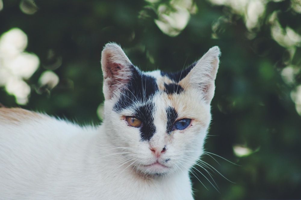 Photograph by Annlin Nelson