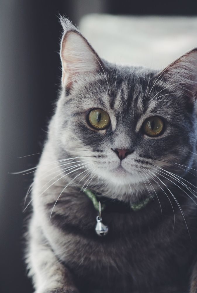 Photograph by Annlin Nelson