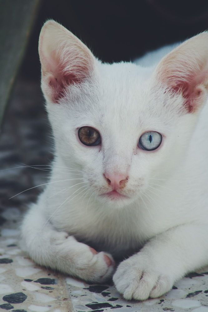 Photograph by Annlin Nelson