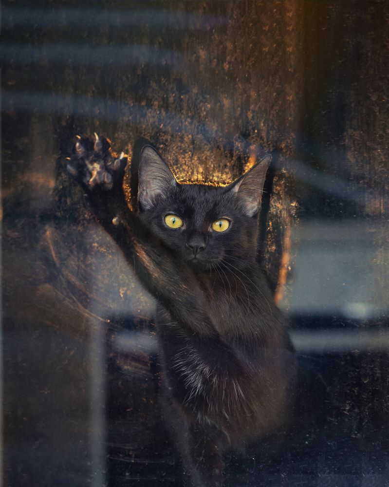 Photograph by Larianna Holm