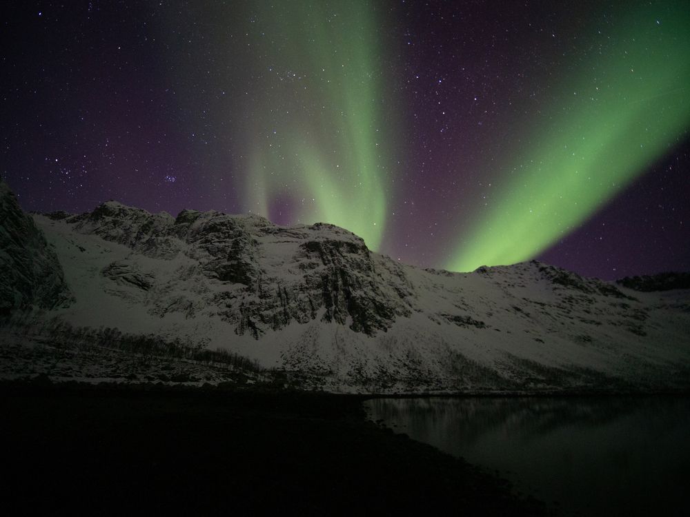 Photo #8988193