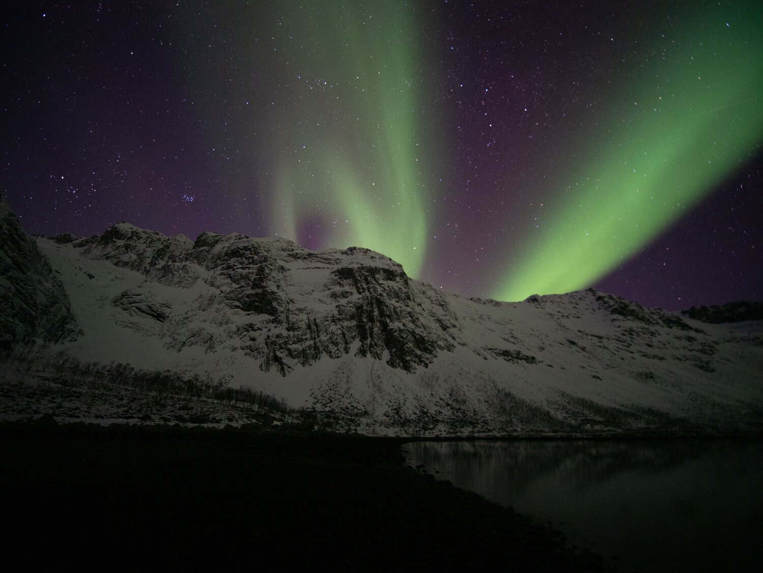 Photo #8988193
