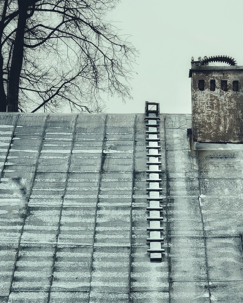 Photograph by Асад Ибадов