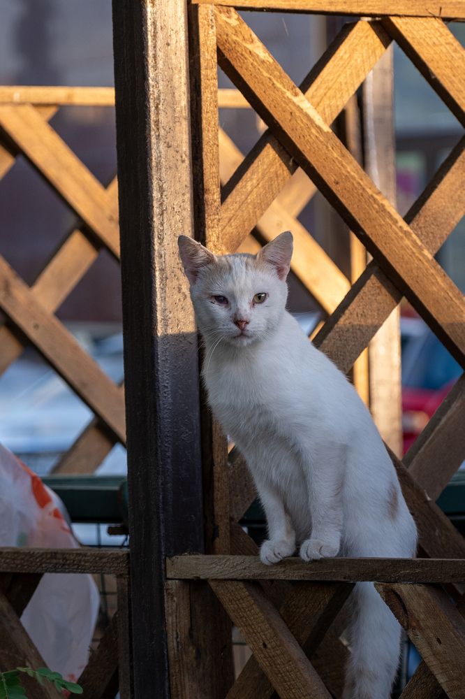 Photograph by Михаил Алещенков