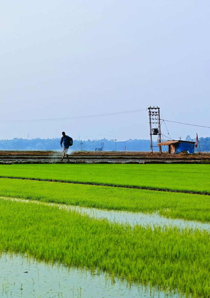 Photograph by Sudeshna Chanda