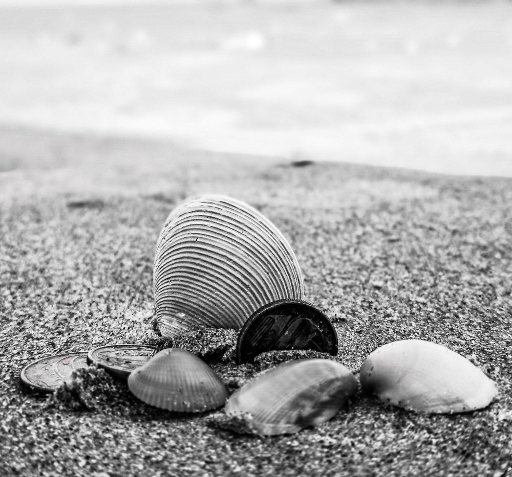 Crustáceos y monedas