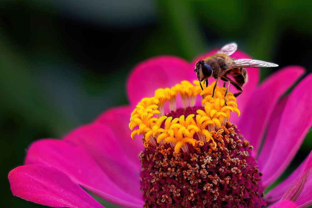 Photograph by Дашдемир Мамедов