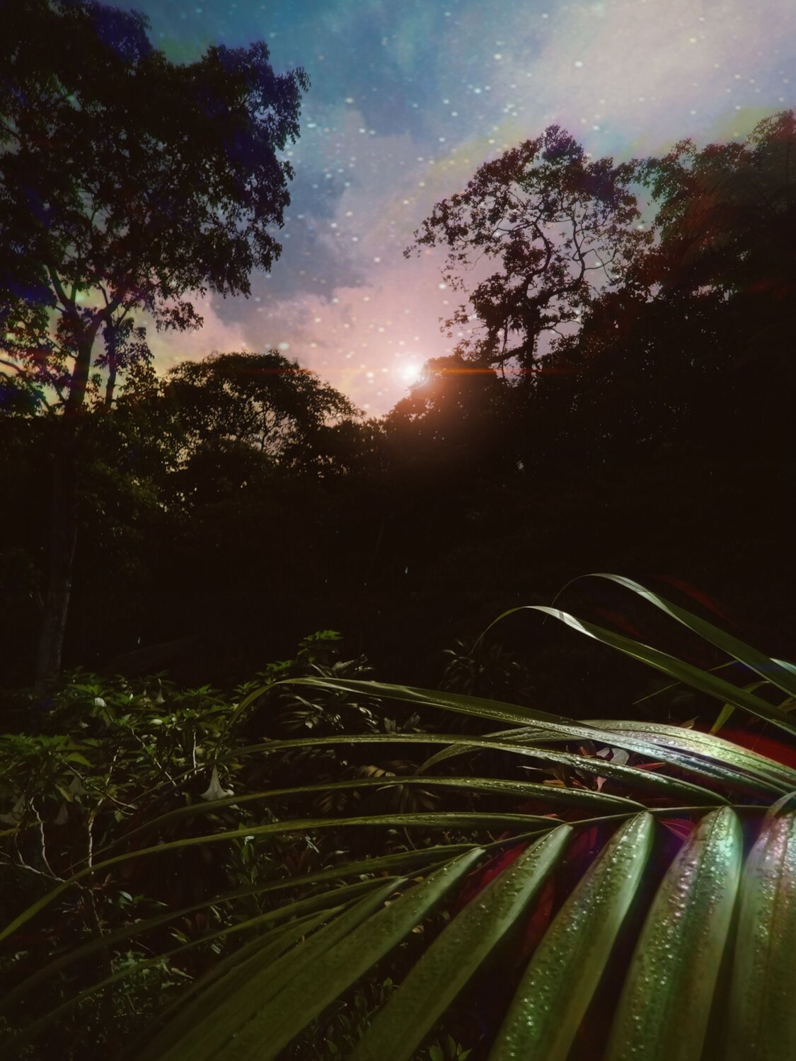 Photo #8988454