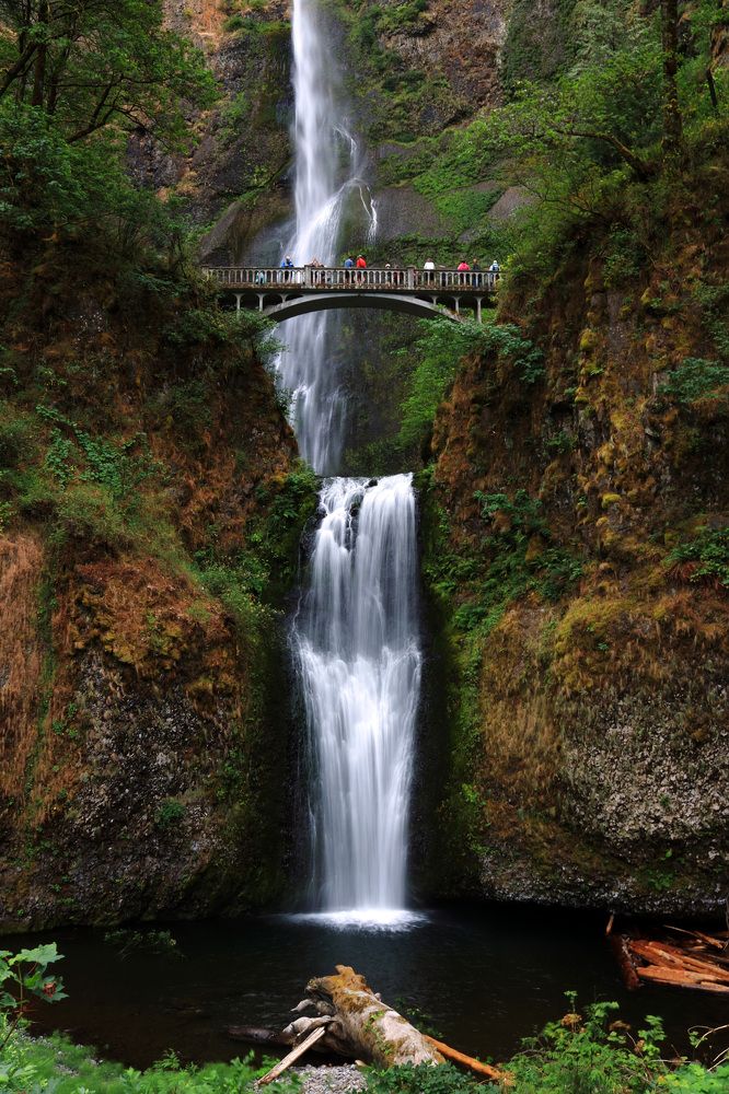 Multnomah falls (Oregon)