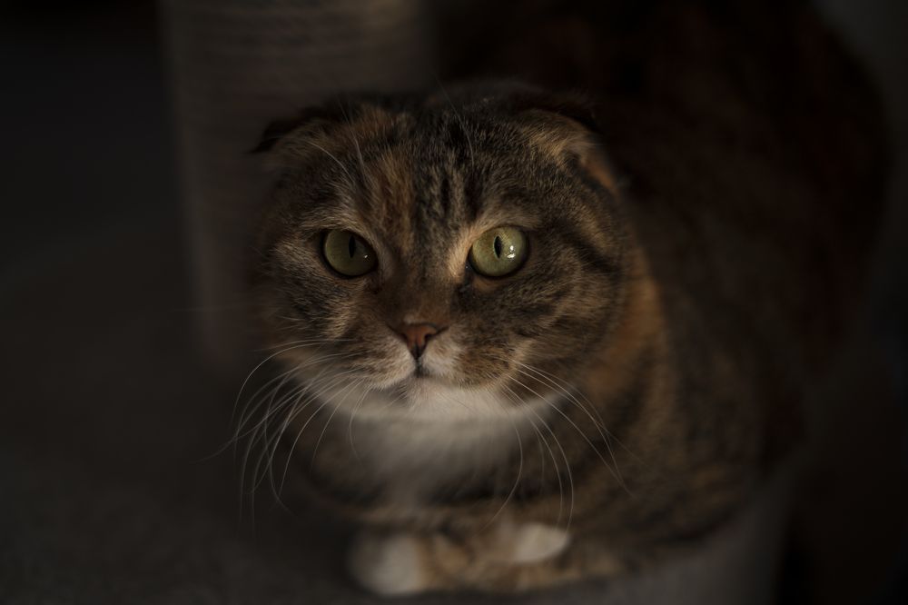 Photograph by Анна Брылева