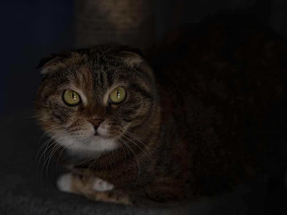 Photograph by Анна Брылева