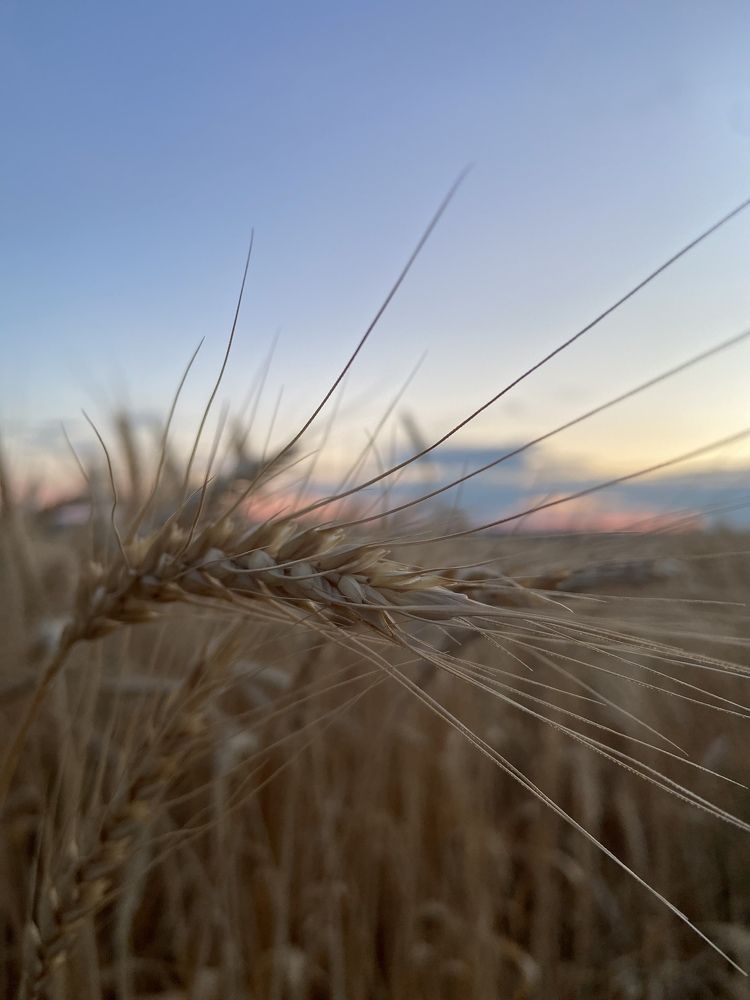 Photograph by Алёна