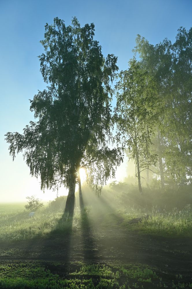 Пробиваясь сквозь туман