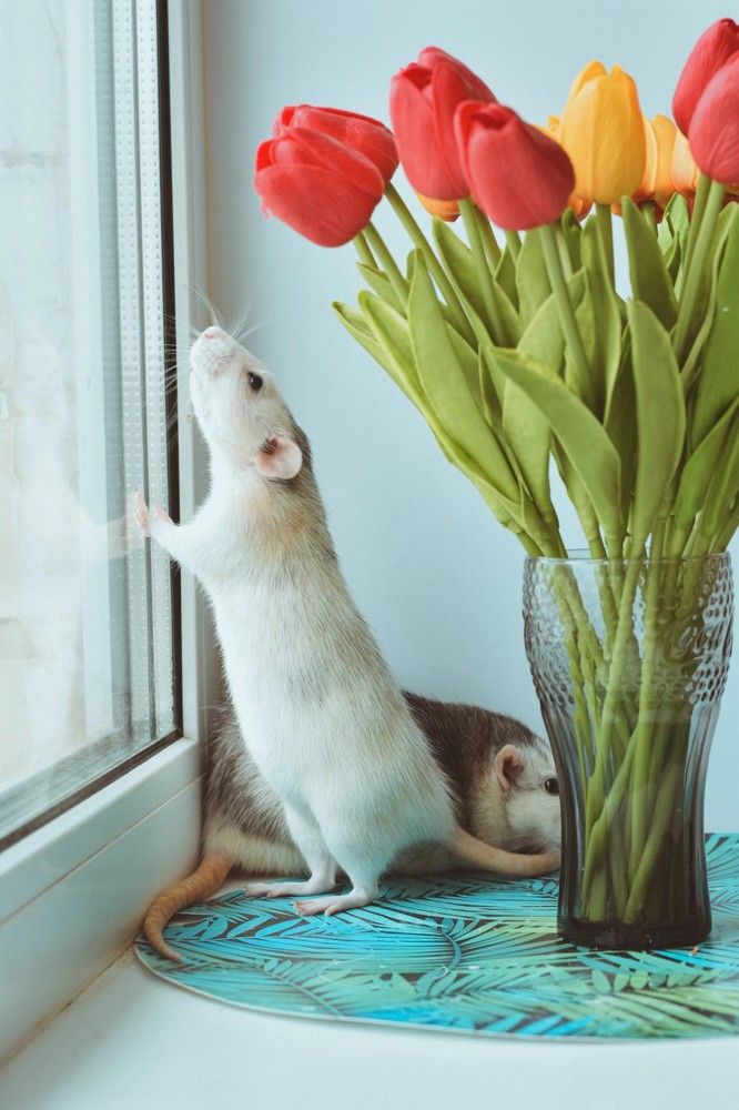 Photograph by Екатерина Верясова