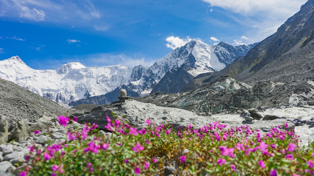 Фотография автора Elena Sova