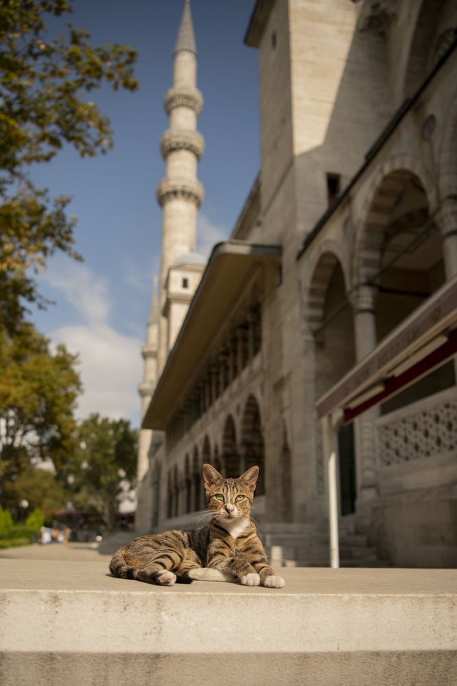 Photograph by Светлана Ермакова