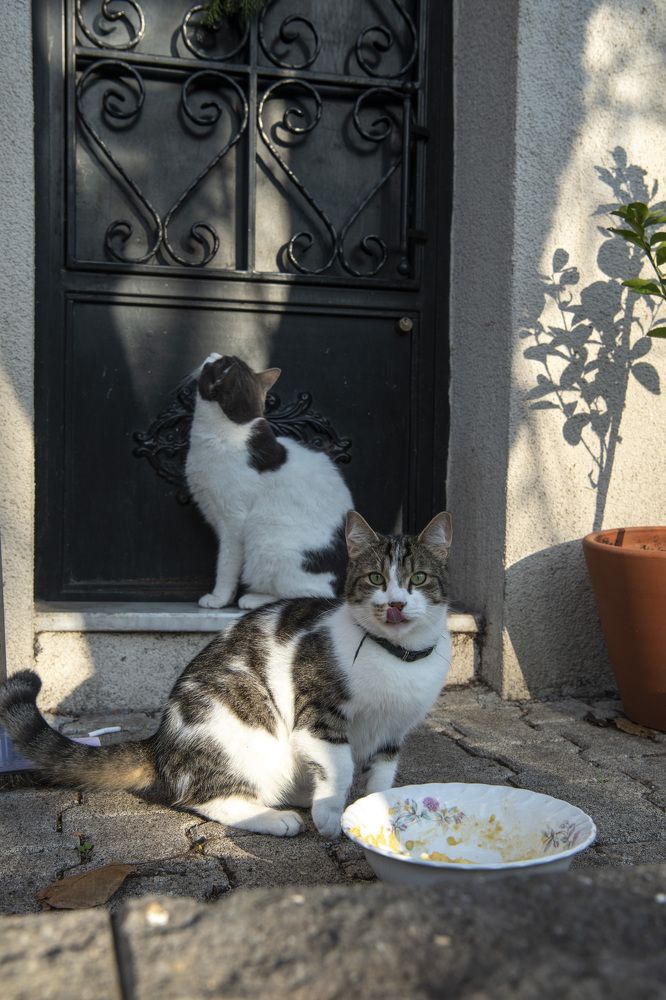 Photograph by Светлана Ермакова