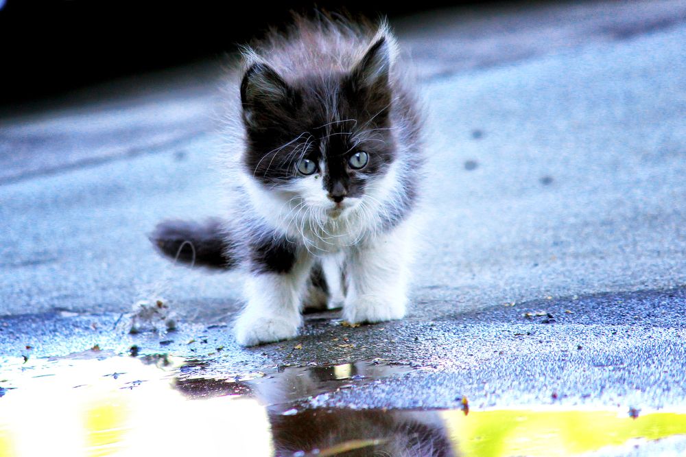 Photograph by Vitaliy Saposhnikov