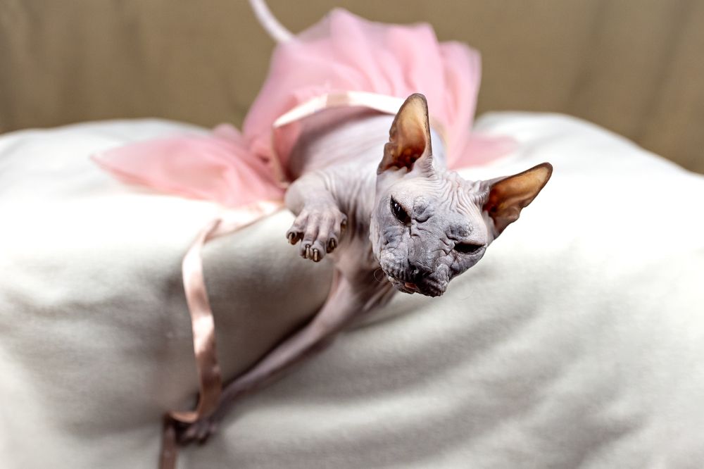 Фотография автора Евгения Глинская