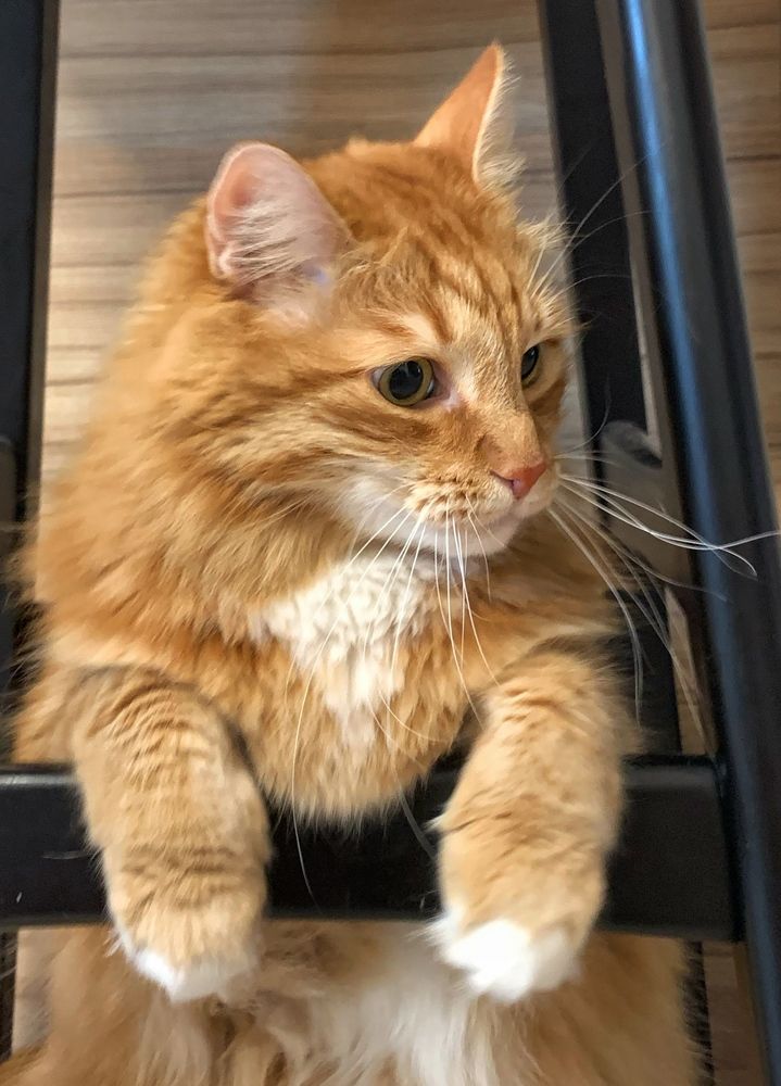 Photograph by Светлана Медведева