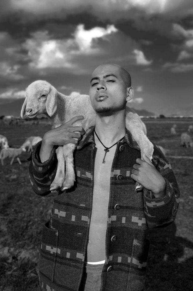 Фотография автора Dang Le