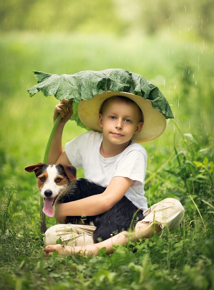 Летний дождик