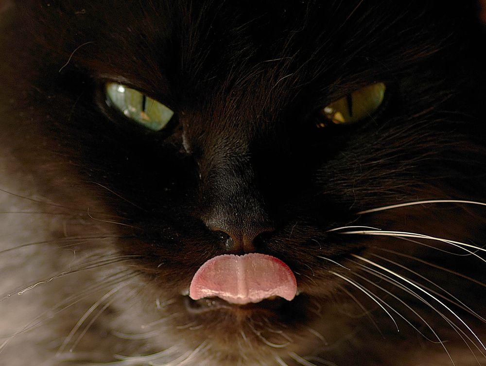 Photograph by Сергей Кириллов