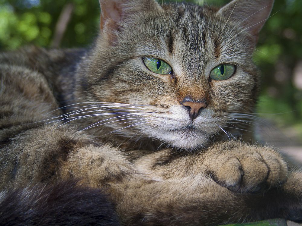 Photograph by Игорь Квочка