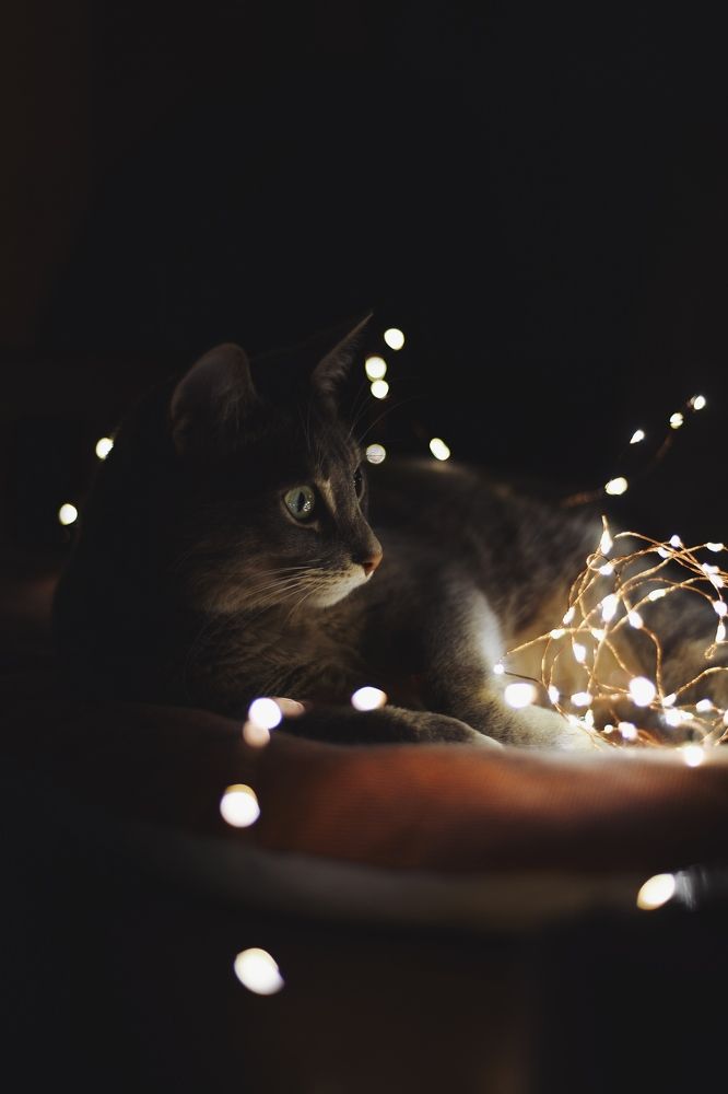 Photograph by Maria Filatova