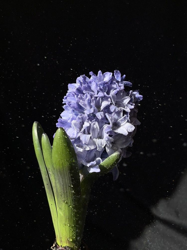 Photograph by Ольга Томашевич