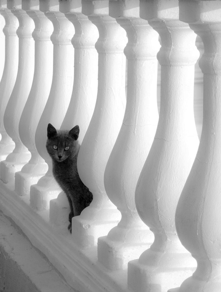 Знак препинания