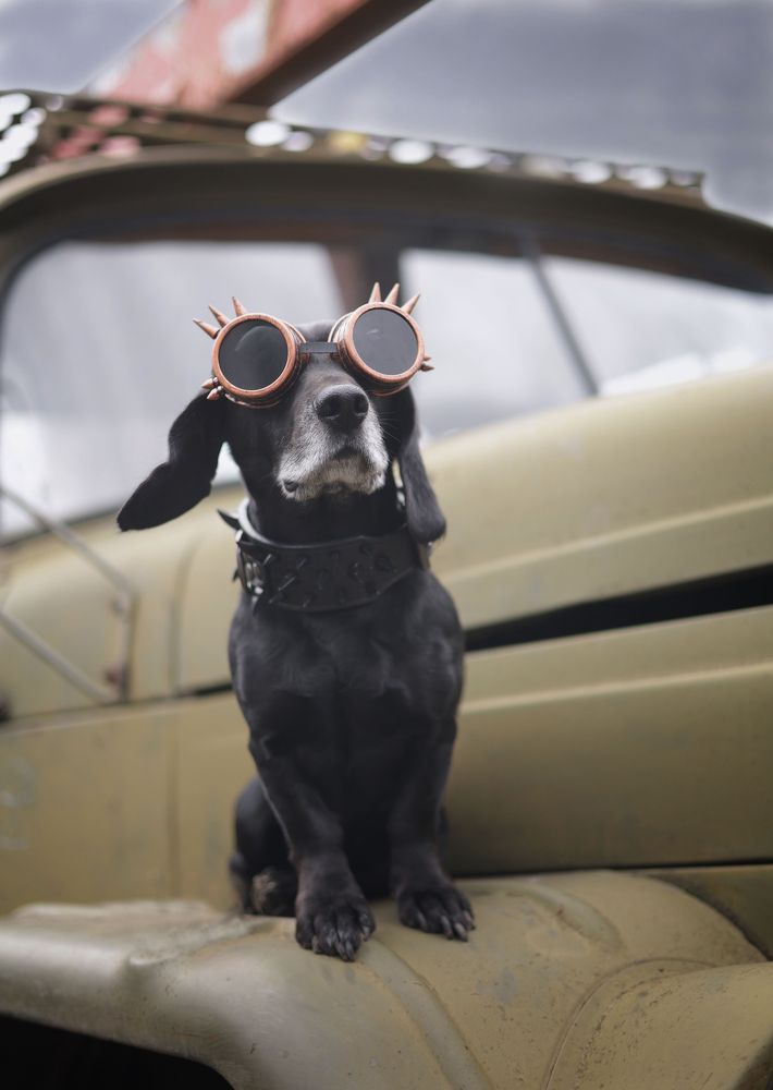 Photograph by Елена Мизюрина