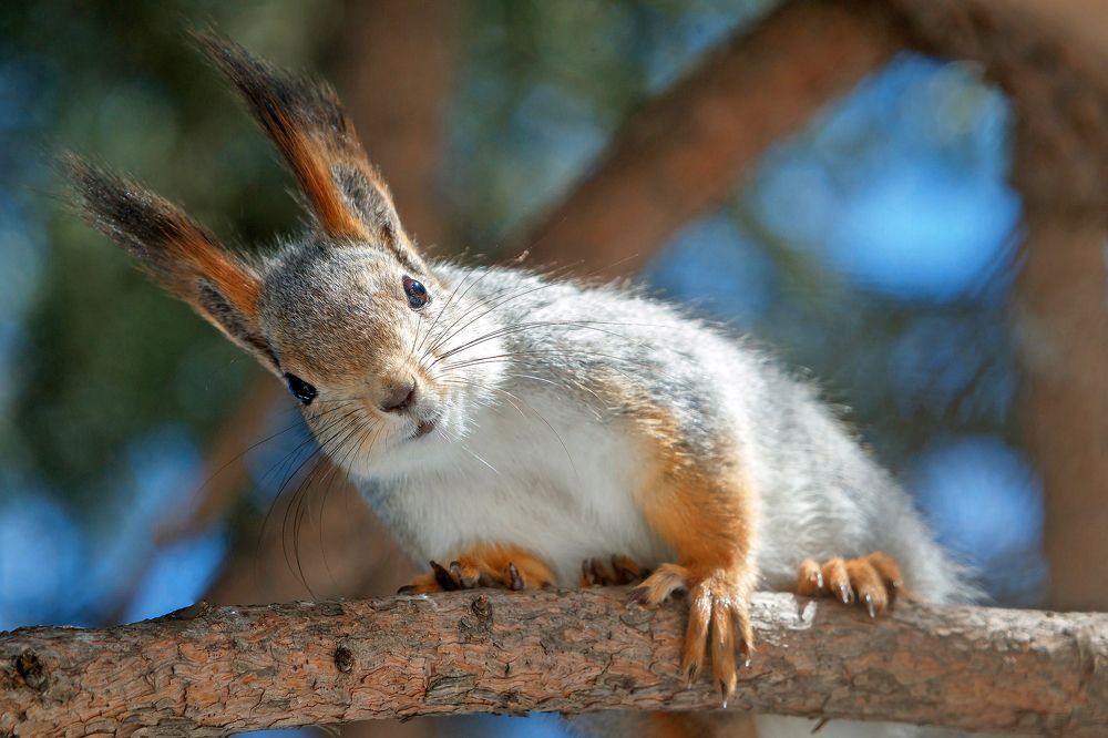 Photograph by Владимир Салапонов