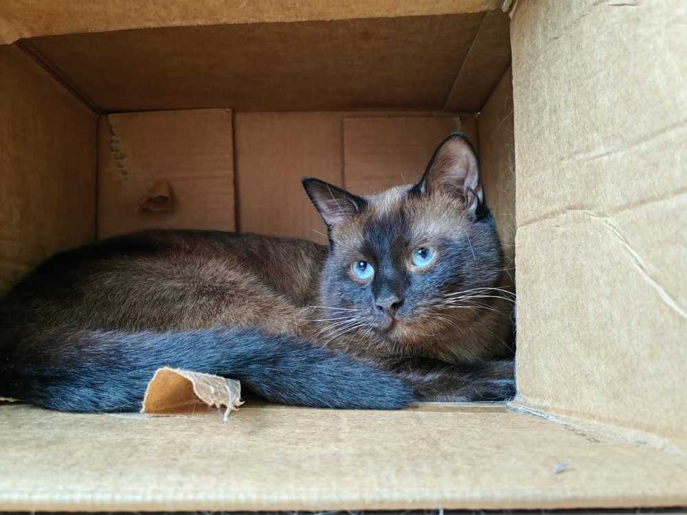 Photograph by Наталья Сергеевна Крылова