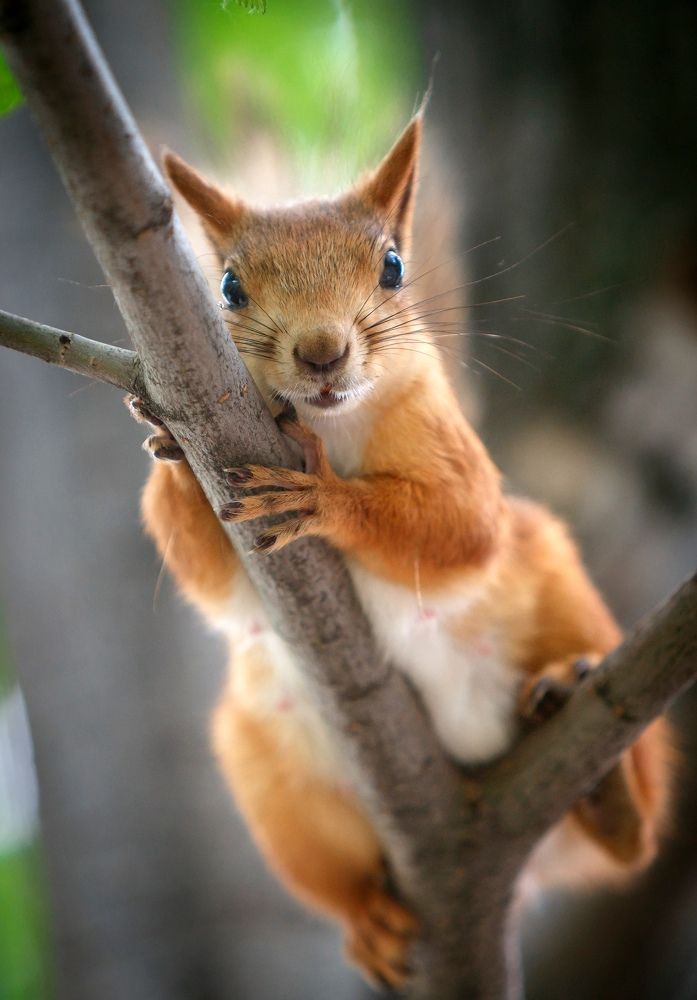 Photograph by Владимир Салапонов