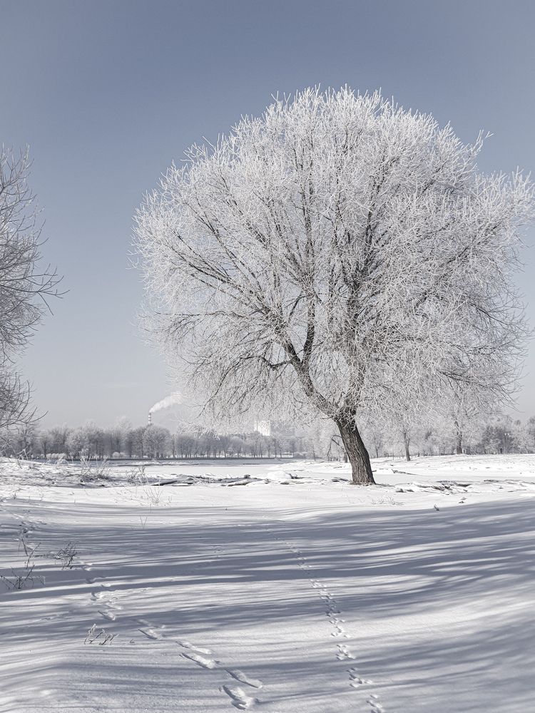 Photograph by Сергей Баранов