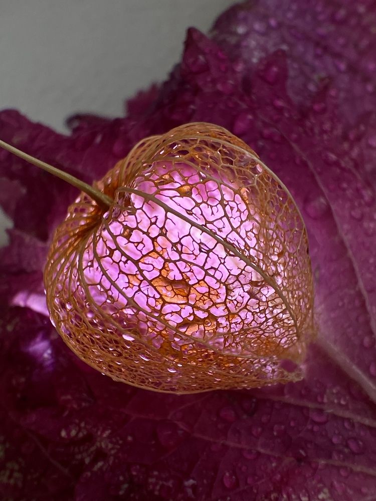 Photograph by Светлана Дмитриева