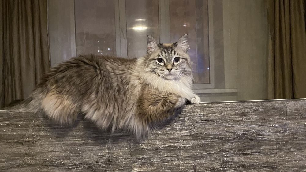 Photograph by Евгения Решетникова