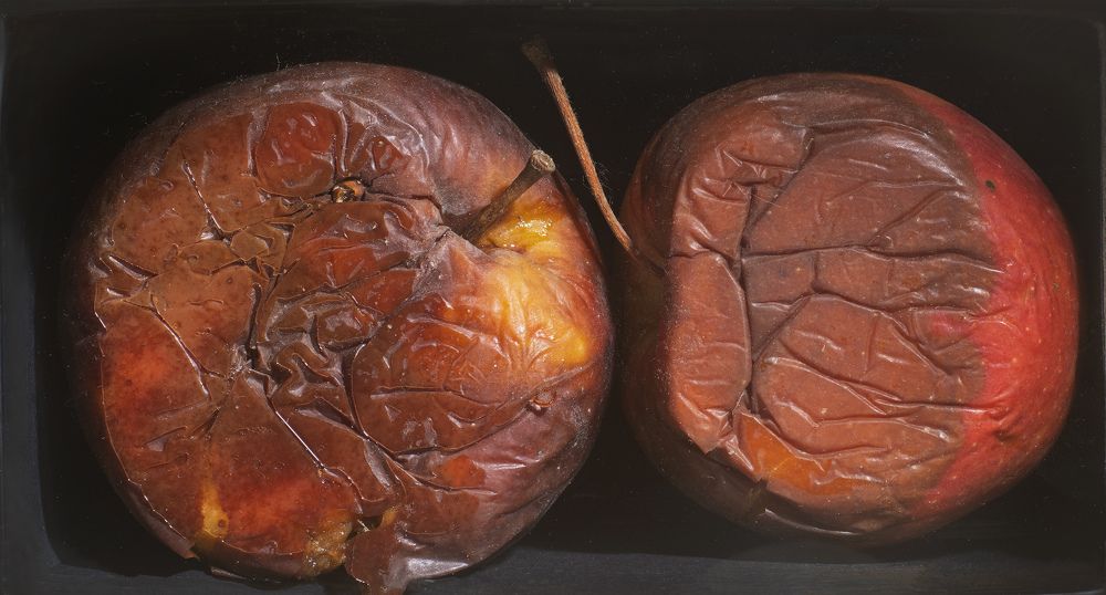 THROUGH THE MIRROR, THE APPLE IS ROTTEN!