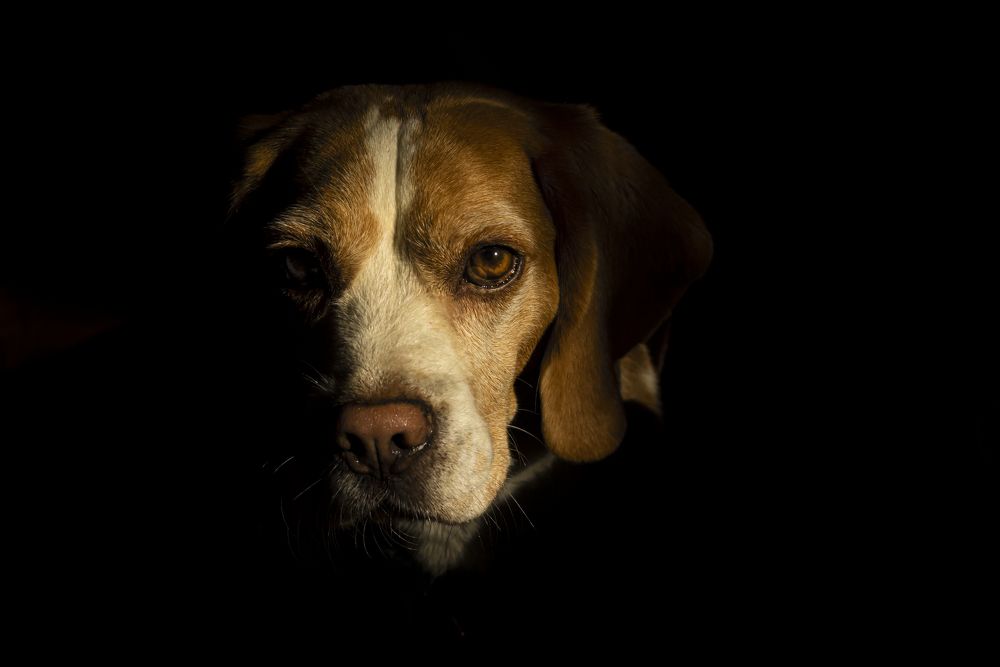 Photograph by Юлия Куликова