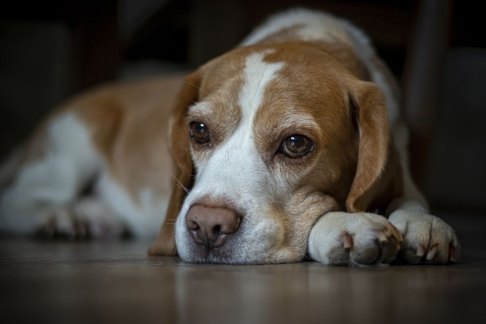 Photograph by Юлия Куликова