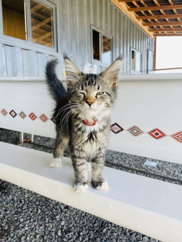 Photograph by Ландыш Мустафина