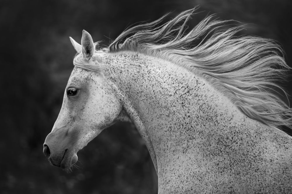 Фотография автора Олеся Евгеньевна