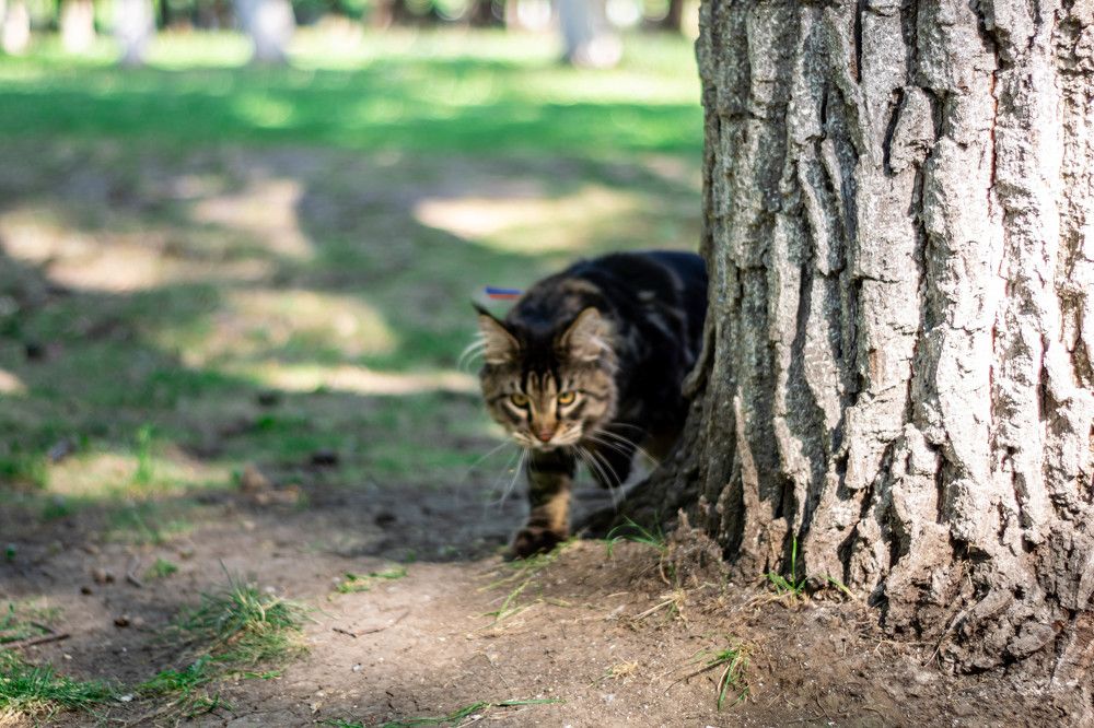 Photograph by Светлана Мухтулова