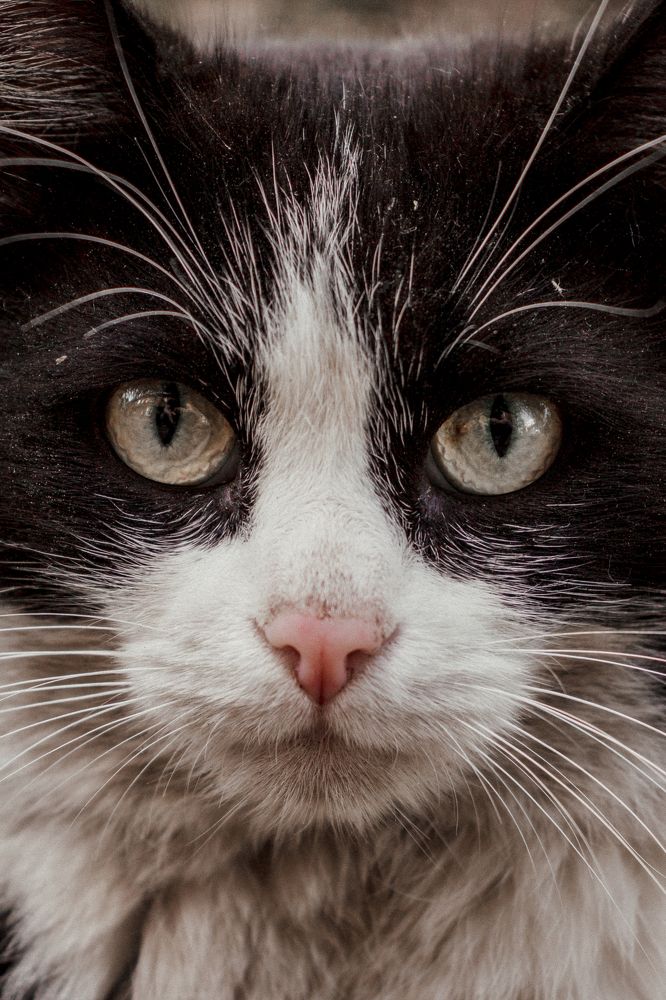 Photograph by IkRa TV