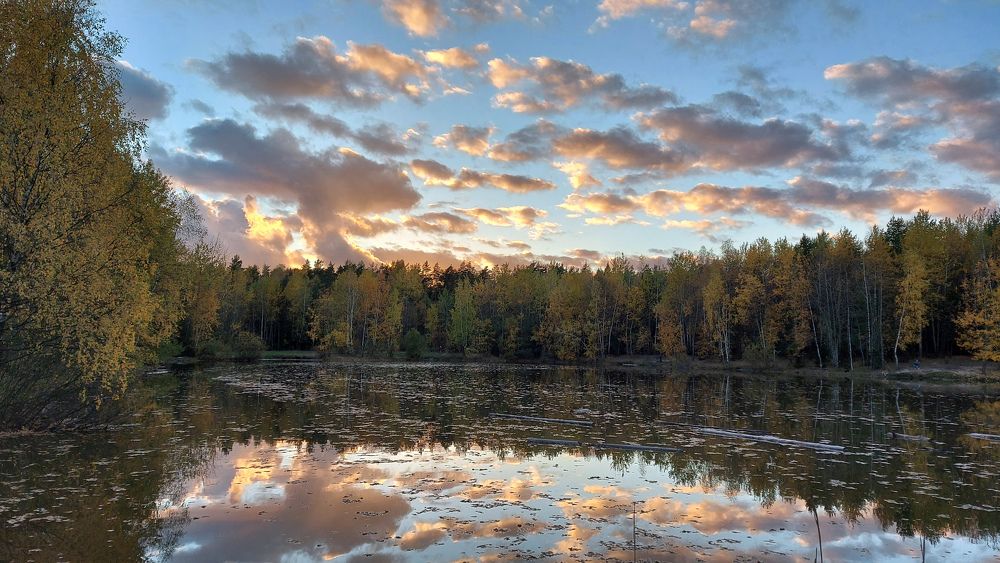 Photograph by Ольга
