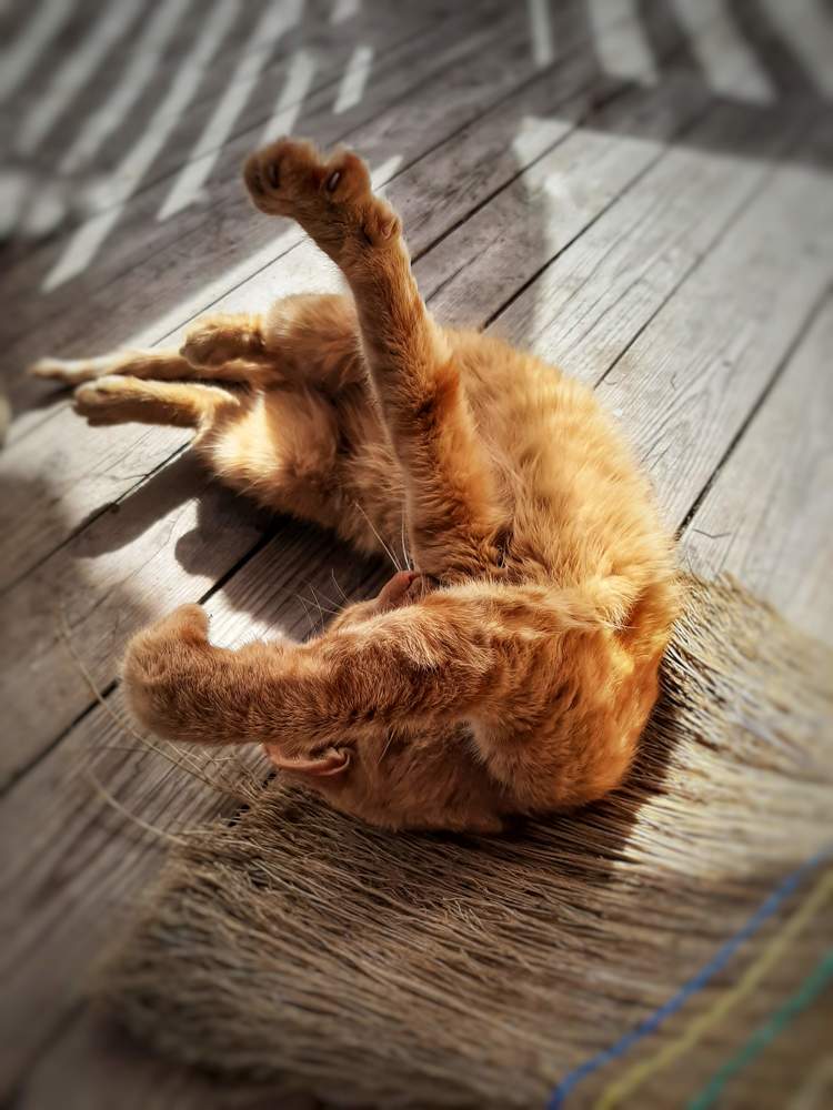 Photograph by Кристина Тарутина