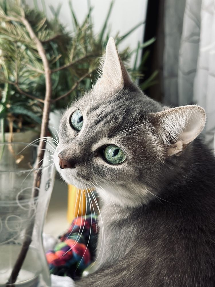 Photograph by Гульнара Шаньгина